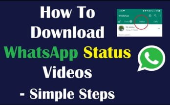 APKGolf.com How To Download Whatsapp Status Video Just One Click