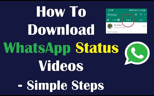 APKGolf.com How To Download Whatsapp Status Video Just One Click